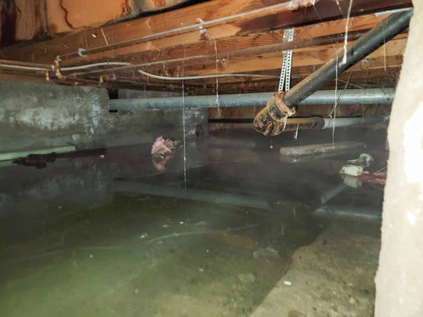 Best Water damage restoration near me  in Isla Vista, CA