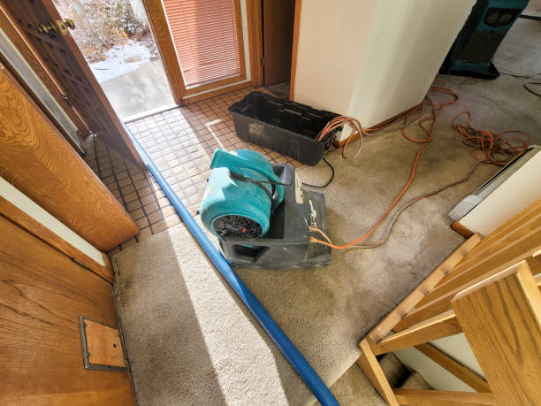 Best Water damage restoration near me  in Isla Vista, CA