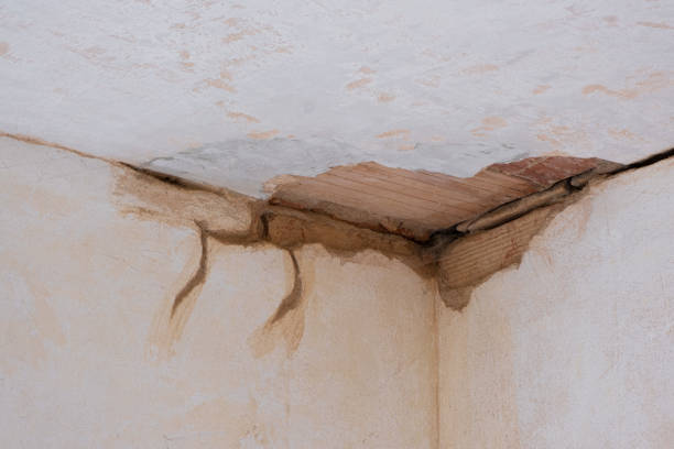 Best Carpet water damage restoration  in Isla Vista, CA