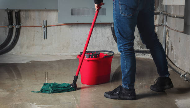 Best Water damage cleanup near me  in Isla Vista, CA