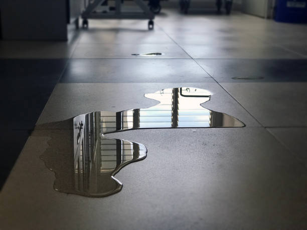 Best Professional water damage repair  in Isla Vista, CA