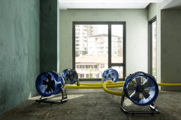 Isla Vista, CA Water damage restoration Company